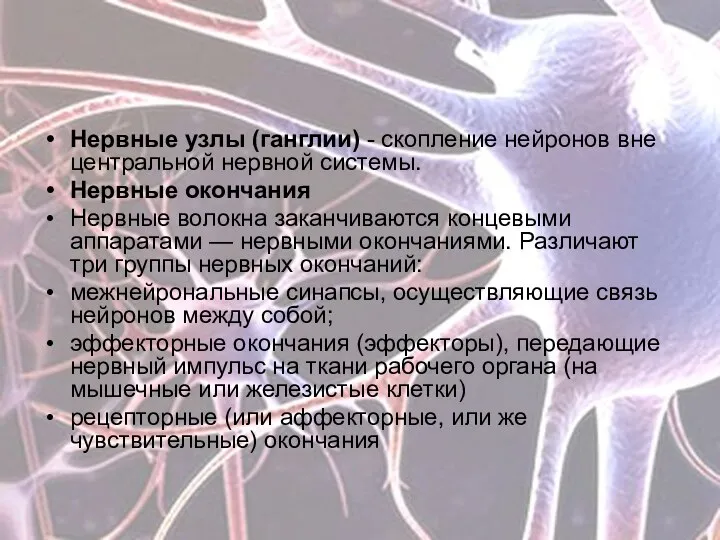 Нервные узлы (ганглии) - скопление нейронов вне центральной нервной системы. Нервные окончания