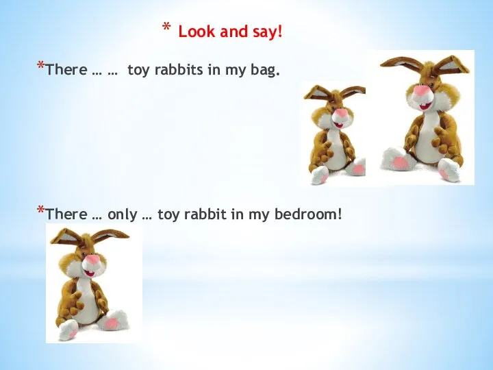There … … toy rabbits in my bag. There … only …