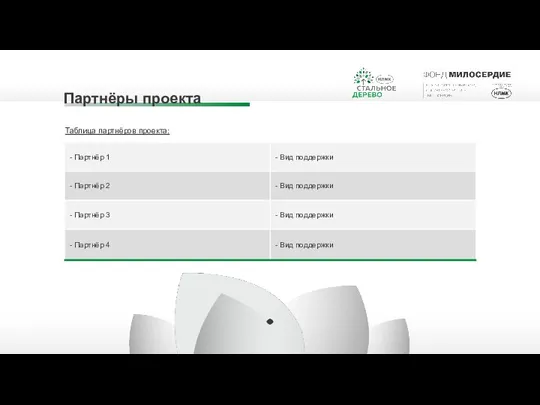 Партнёры проекта Таблица партнёров проекта: