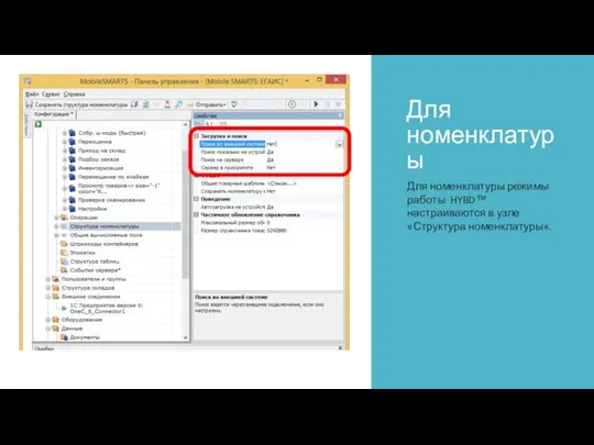 Для номенклатуры Для номенклатуры режимы работы HYBD™ настраиваются в узле «Структура номенклатуры».