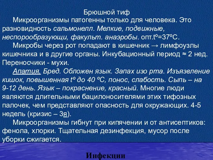 Инфекции Брюшной тиф Микроорганизмы патогенны только для человека. Это разновидность сальмонелл. Мелкие,