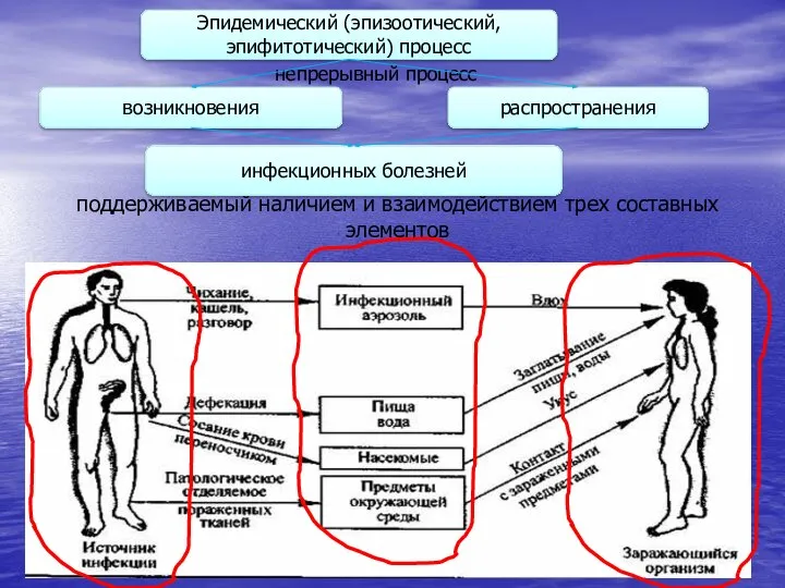 поддерживаемый наличием и взаимодействием трех составных элементов Эпидемический (эпизоотический, эпифитотический) процесс возникновения
