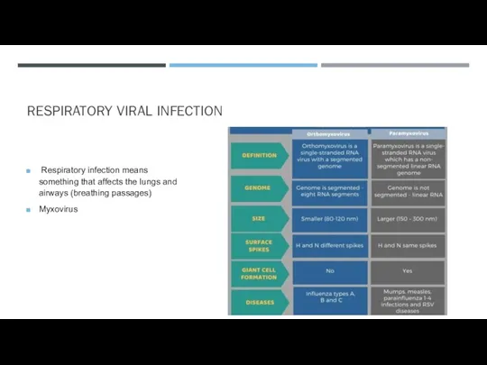 RESPIRATORY VIRAL INFECTION Respiratory infection means something that affects the lungs and airways (breathing passages) Myxovirus