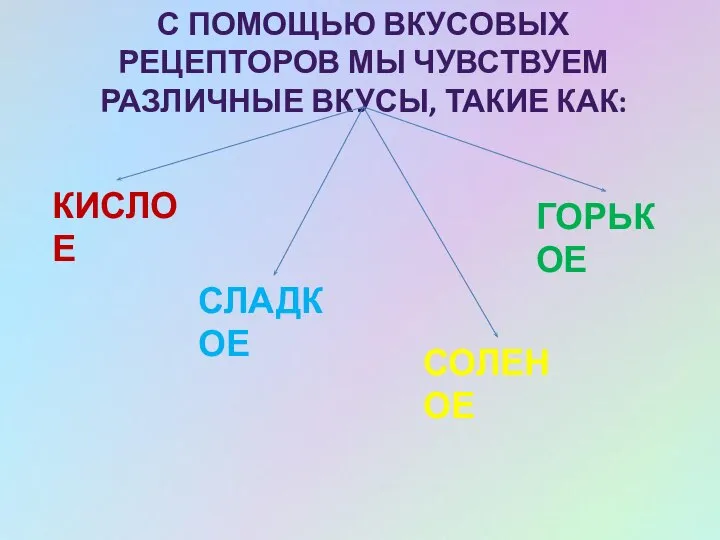 С ПОМОЩЬЮ ВКУСОВЫХ РЕЦЕПТОРОВ МЫ ЧУВСТВУЕМ РАЗЛИЧНЫЕ ВКУСЫ, ТАКИЕ КАК: КИСЛОЕ СЛАДКОЕ СОЛЕНОЕ ГОРЬКОЕ