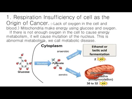 1. Respiration Insufficiency of cell as the Origin of Cancer. (=Lack of