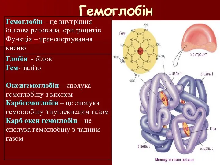 Гемоглобін