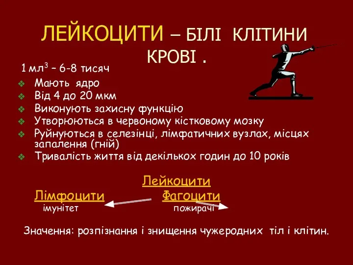 ЛЕЙКОЦИТИ – БІЛІ КЛІТИНИ КРОВІ . 1 мл3 – 6-8 тисяч Мають