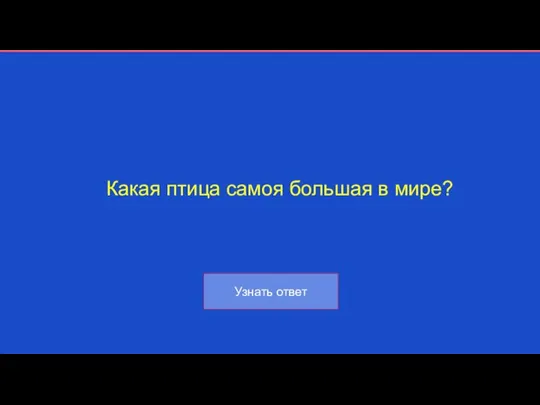 Какая птица самоя большая в мире?