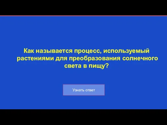 Как называется процесс, используемый растениями для преобразования солнечного света в пищу?