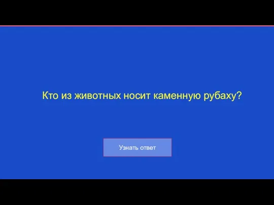 Кто из животных носит каменную рубаху?