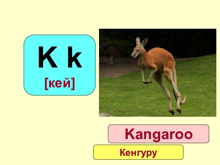 K k [кей] Kangaroo Кенгуру