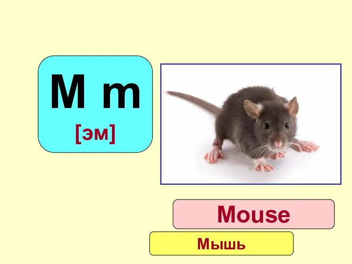 M m [эм] Mouse Мышь