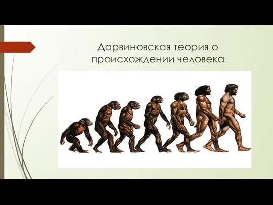 Дарвиновская теория о происхождении человека