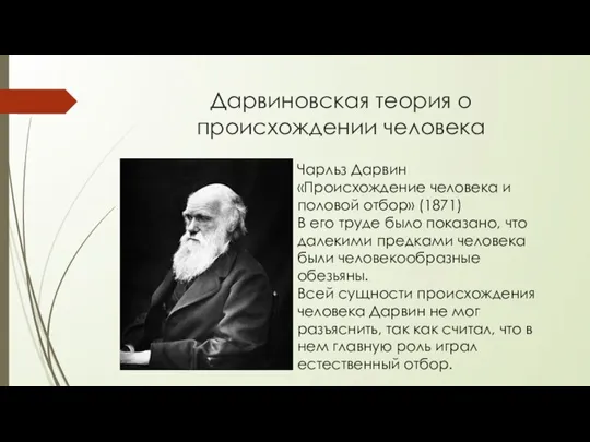 Дарвиновская теория о происхождении человека Чарльз Дарвин «Происхождение человека и половой отбор»
