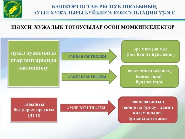 БАШҠОРТОСТАН РЕСПУБЛИКАhЫНЫҢ АУЫЛ ХУЖАЛЫFЫ БУЙЫНСА КОНСУЛЬТАЦИЯ ҮҘӘГЕ ШӘХСИ ХУЖАЛЫҠ ТОТОУСЫЛАР ӨСӨН МӨМКИНСЕЛЕКТӘР