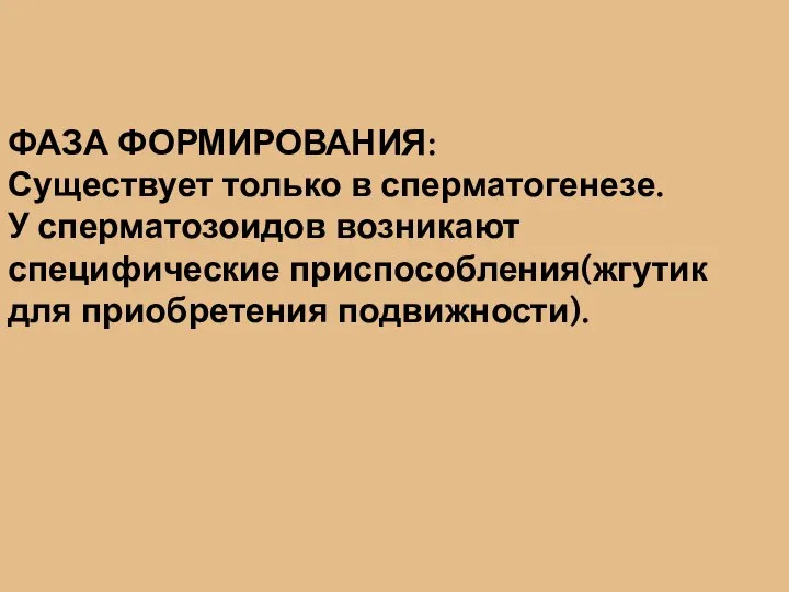 ФАЗА ФОРМИРОВАНИЯ: Существует только в сперматогенезе. У сперматозоидов возникают специфические приспособления(жгутик для приобретения подвижности).