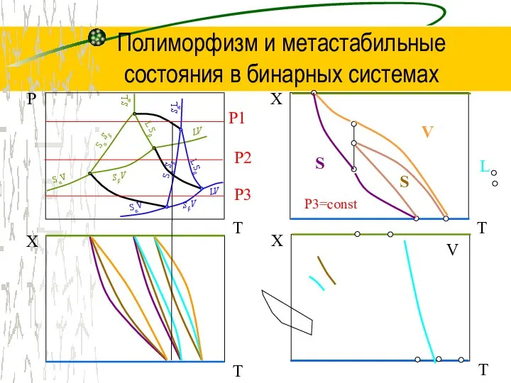 Полиморфизм и метастабильные состояния в бинарных системах Р T P1 V L