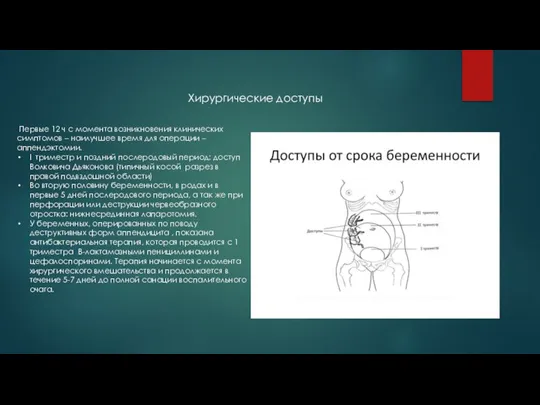 Первые 12 ч с момента возникновения клинических симптомов – наилучшее время для