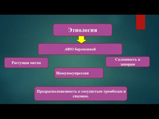 Этиология Растущая матка Иммуносупрессия Предрасположенность к сосудистым тромбозам и спазмам. Склонность к запорам АФО беременной