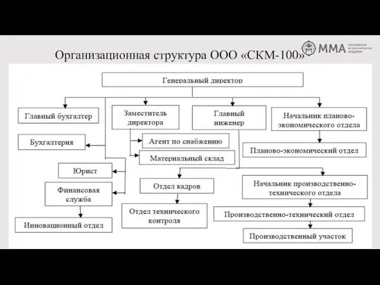 Организационная структура ООО «СКМ-100»