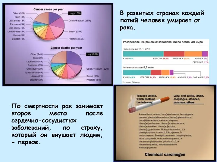 По смертности рак занимает второе место после сердечно-сосудистых заболеваний, по страху, который