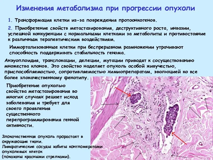 Изменения метаболизма при прогрессии опухоли 1. Трансформация клетки из-за повреждения протоонкогенов. 2.