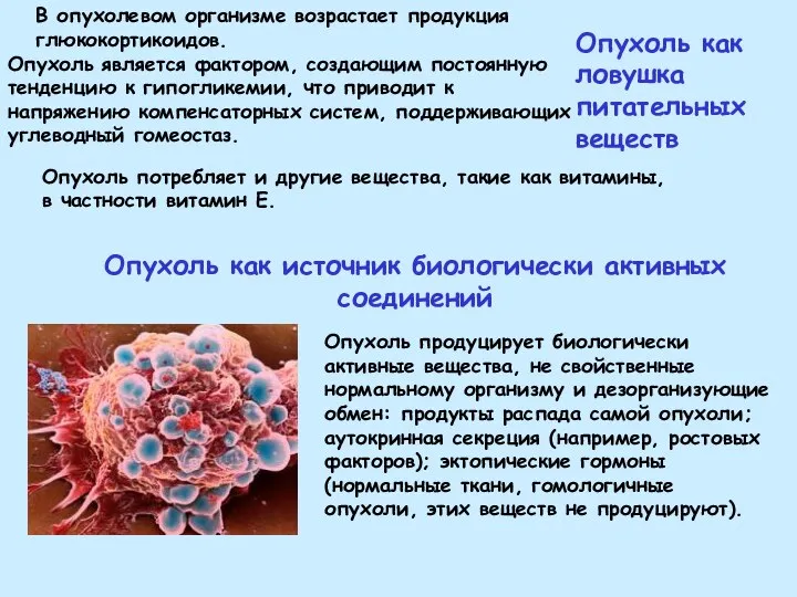 Опухоль как источник биологически активных соединений Опухоль продуцирует биологически активные вещества, не