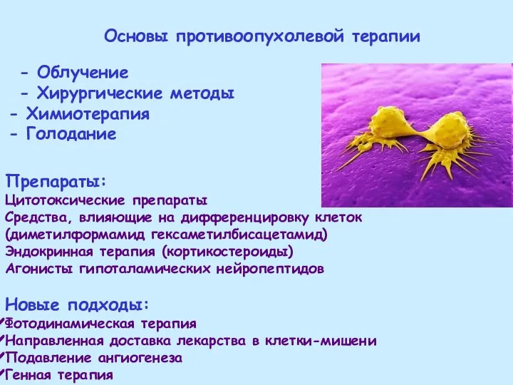 Основы противоопухолевой терапии - Облучение - Хирургические методы Химиотерапия Голодание Препараты: Цитотоксические