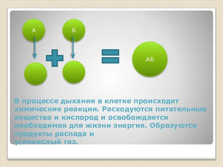 В процессе дыхания в клетке происходят химические реакции. Расходуются питательные вещества и