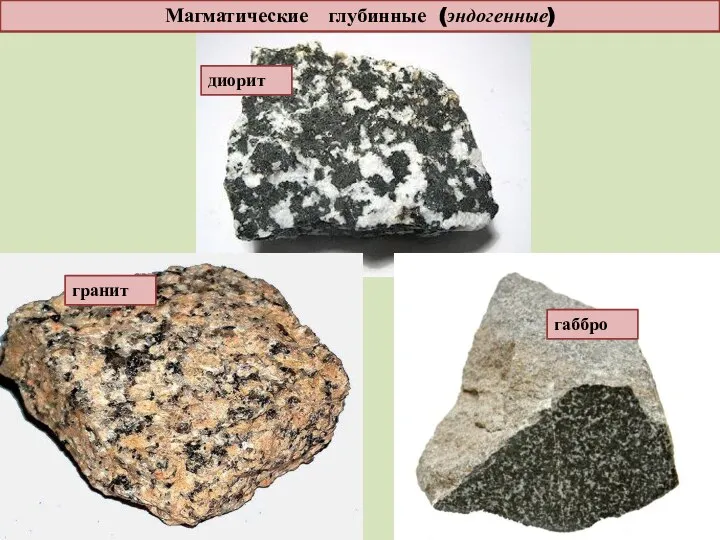 Магматические глубинные (эндогенные) диорит гранит габбро