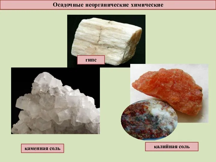 Осадочные неорганические химические каменная соль калийная соль гипс