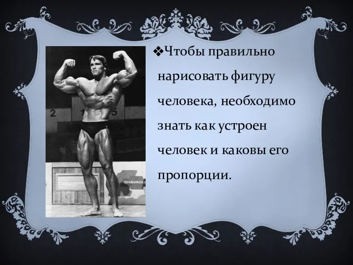 Чтобы правильно нарисовать фигуру человека, необходимо знать как устроен человек и каковы его пропорции.