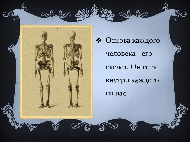 Основа каждого человека - его скелет. Он есть внутри каждого из нас .