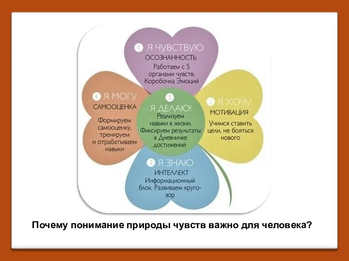 Почему понимание природы чувств важно для человека?