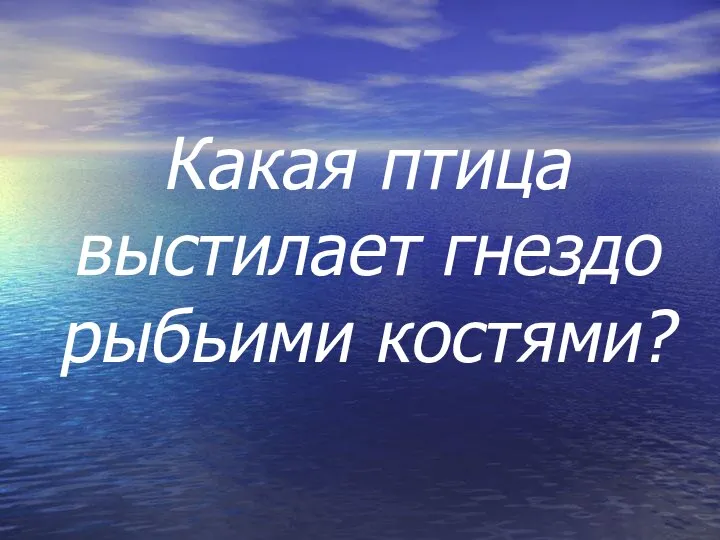 Какая птица выстилает гнездо рыбьими костями?