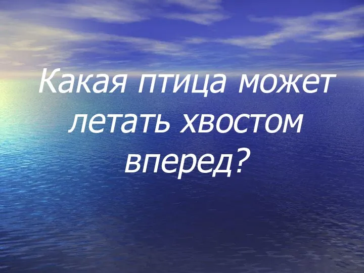 Какая птица может летать хвостом вперед?