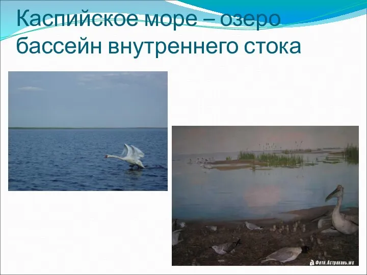 Каспийское море – озеро бассейн внутреннего стока