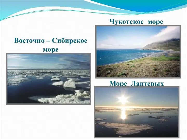 Море Лаптевых Восточно – Сибирское море Чукотское море