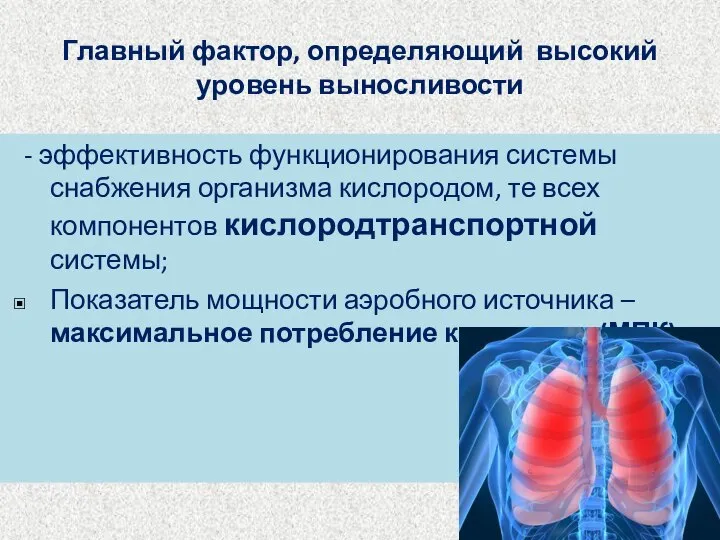 Главный фактор, определяющий высокий уровень выносливости - эффективность функционирования системы снабжения организма