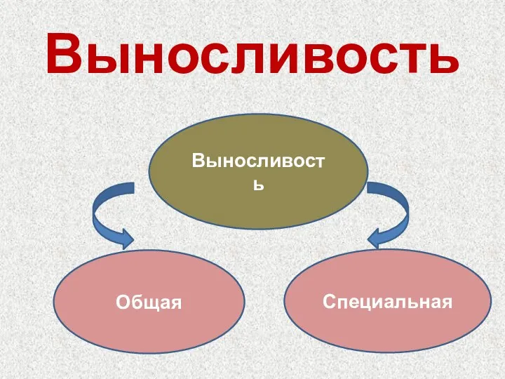 Выносливость Общая Специальная Выносливость