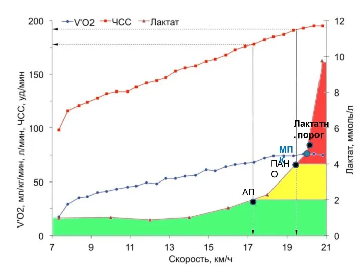 АП ПАНО МПК Лактатн. порог