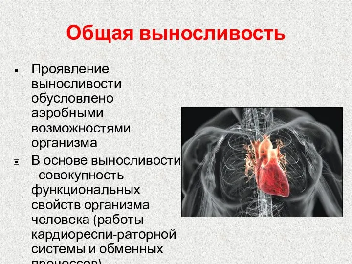 Общая выносливость Проявление выносливости обусловлено аэробными возможностями организма В основе выносливости -