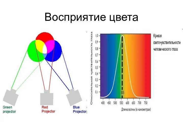 Восприятие цвета