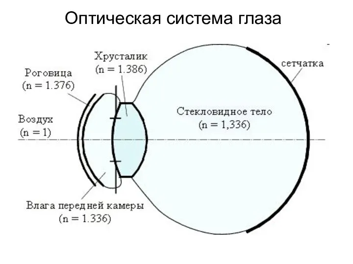 Оптическая система глаза