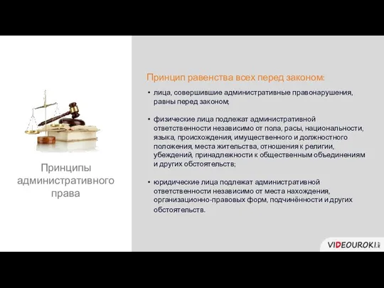 Принцип равенства всех перед законом: лица, совершившие административные правонарушения, равны перед законом;