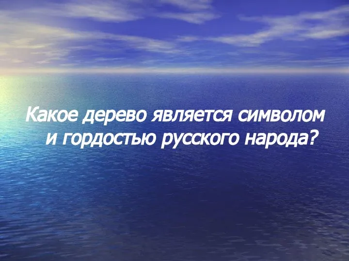 Какое дерево является символом и гордостью русского народа?