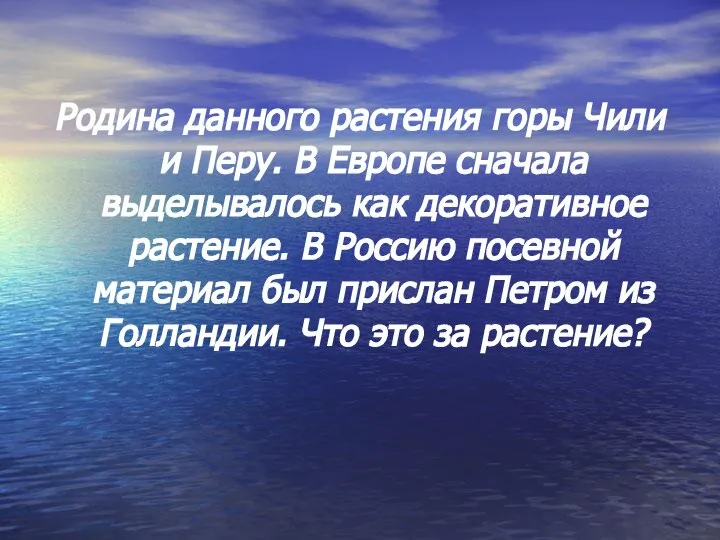 Родина данного растения горы Чили и Перу. В Европе сначала выделывалось как