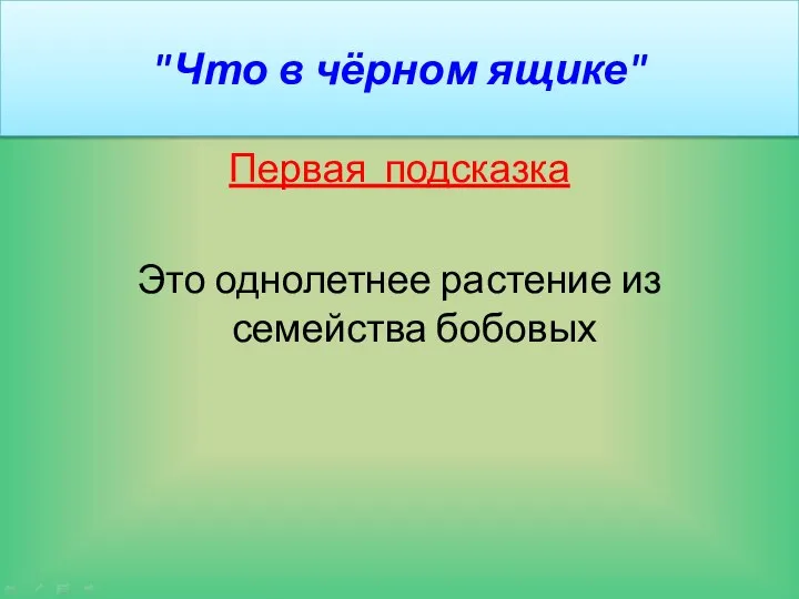 "Что в чёрном ящике" Первая подсказка Это однолетнее растение из семейства бобовых