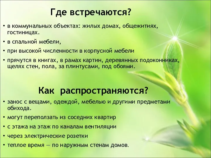 Где встречаются? в коммунальных объектах: жилых домах, общежитиях, гостиницах. в спальной мебели,