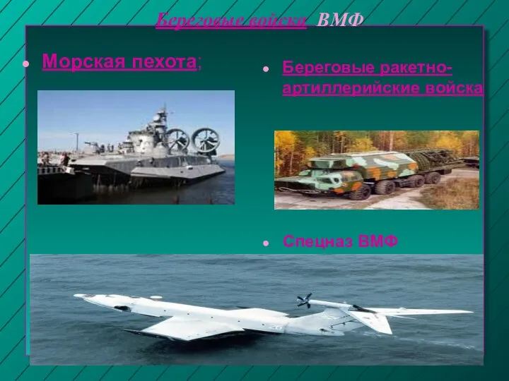 Береговые войска ВМФ Морская пехота; Береговые ракетно-артиллерийские войска Спецназ ВМФ